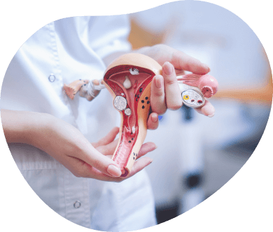 Cirurgia Ginecológica