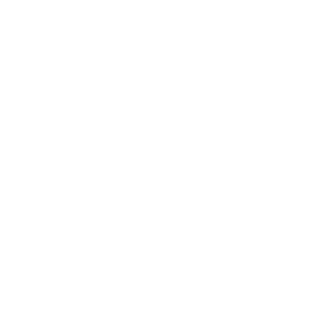 logo roberta coelho ginecologista